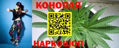 прущие грибы Рыбинск