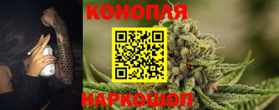 прущие грибы Рыбинск
