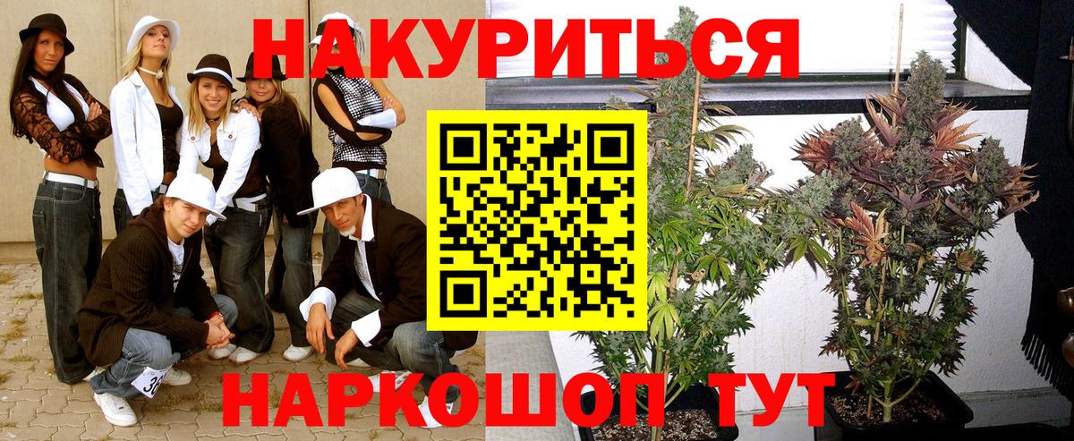 Шишки марихуана гибрид  Конопля семена  Шишки марихуана Bruce Banner  Канабис Ganja  Бахчисарай  Вход с VPN 